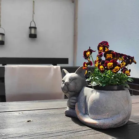 Alloggio in famiglia Amber Ustka