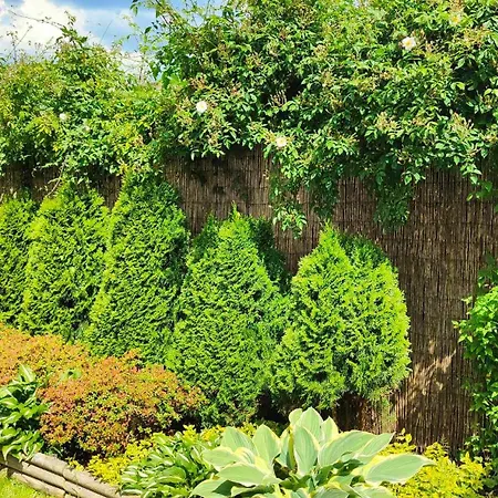 Privatunterkunft Amber