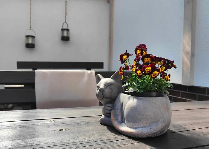 Homestay szállás Amber Ustka