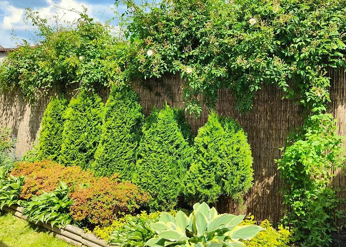 Homestay szállás Amber